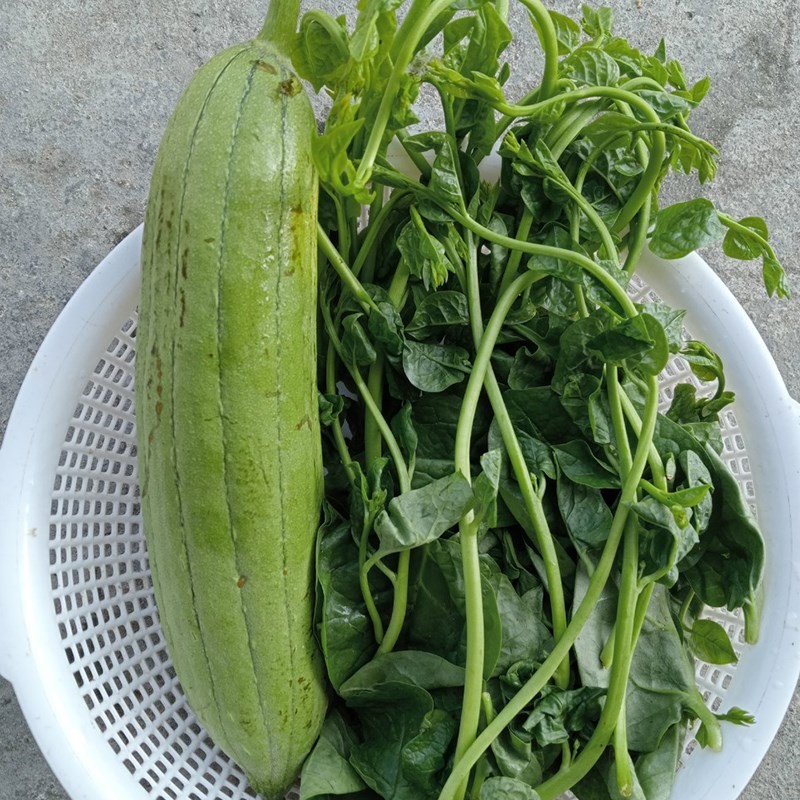 Sơ chế mướp hương tươi ngon, cắt lát để nấu canh mướp mồng tơi