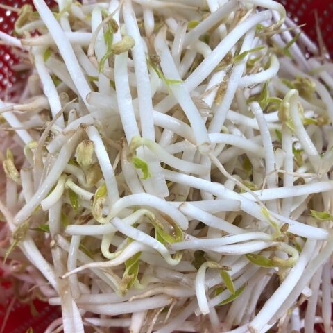 Giá đỗ tươi và hành lá, hành tím đã sơ chế sạch sẽ