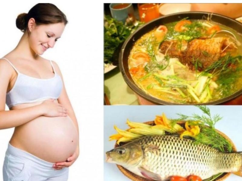 Tác dụng của cá chép