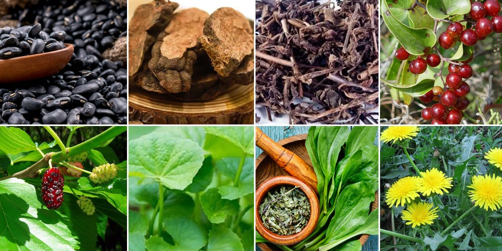 Bài thuốc Đông y trị mụn bằng nước đậu đen