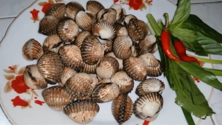 Nguyên liệu chính chuẩn bị cho món canh sò huyết nấm kim châm dọc mùng