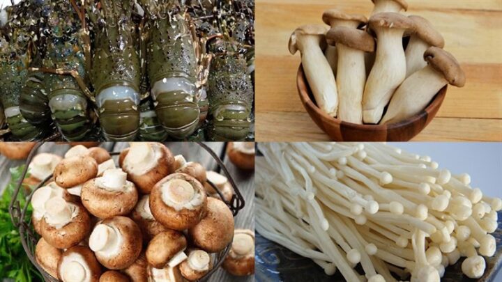 Nguyên liệu món ăn để làm tôm hùm nấu lẩu