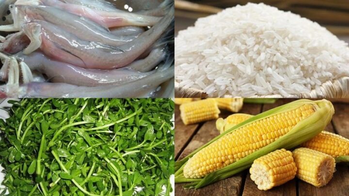 Cách chọn rau muống tươi ngon, xanh mướt cho món canh chua cá trê