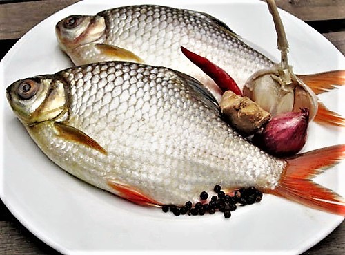 Cá he tươi nguyên con, sẵn sàng cho món cá kho lạt