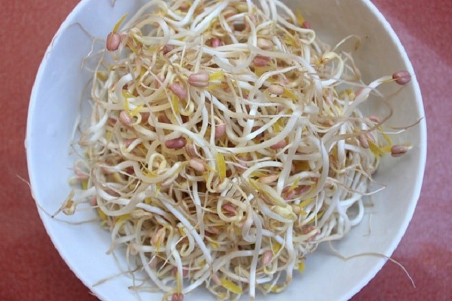 Giá đỗ tươi ngon, nguyên liệu chính cho món canh đậu phụ giá đỗ