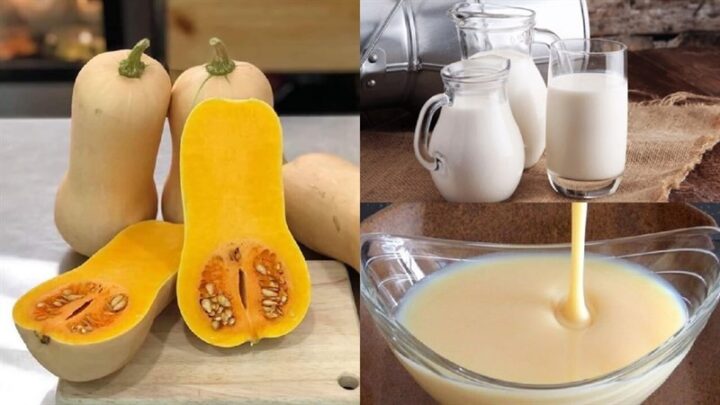 Nguyên liệu món ăn sữa bí đỏ
