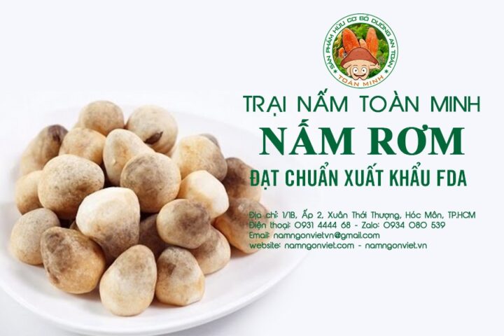 Hình ảnh minh họa một số món ăn ngon dễ làm từ nấm rơm tươi