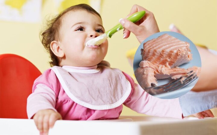 Bé 7 tháng ăn cá hồi được không