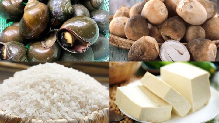 Nguyên liệu chế biến các cách nấu ốc móng tay tại nhà