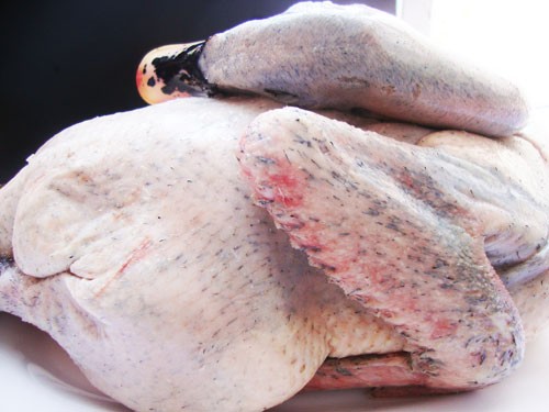 Vịt xiêm tươi ngon