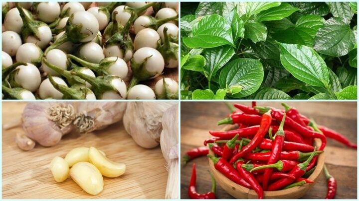 Nguyên liệu cơ bản cho món cà pháo xào lá lốt