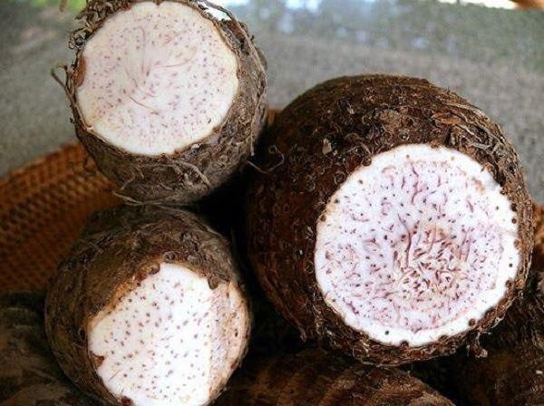 Chọn khoai môn chất lượng cho món chè dẻo thơm