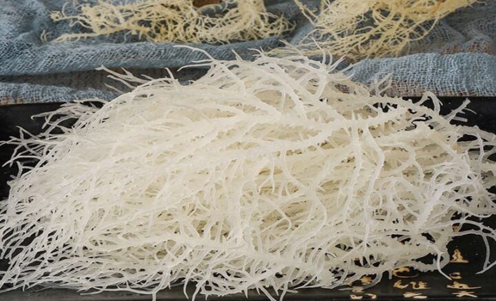 Rong sụn khô đang được ngâm trong nước để sơ chế và giảm vị mặn, chuẩn bị nấu chè rong sụn