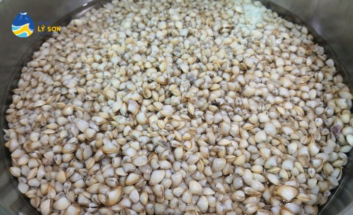 Một tô don Quảng Ngãi hấp dẫn, đặc sản nổi tiếng của vùng đất miền Trung.
