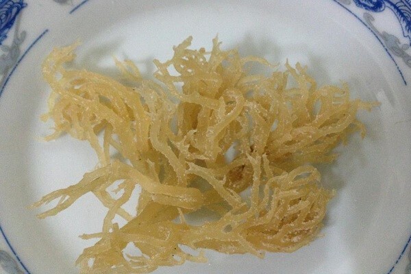 Rau câu chân vịt khô nguyên liệu chính cho cách nấu rau câu biển