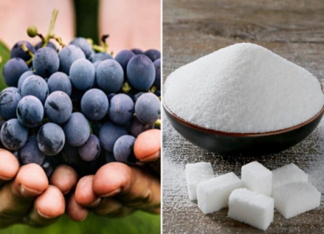 Nguyên liệu chính cần có để thực hiện cách nấu rượu từ đường