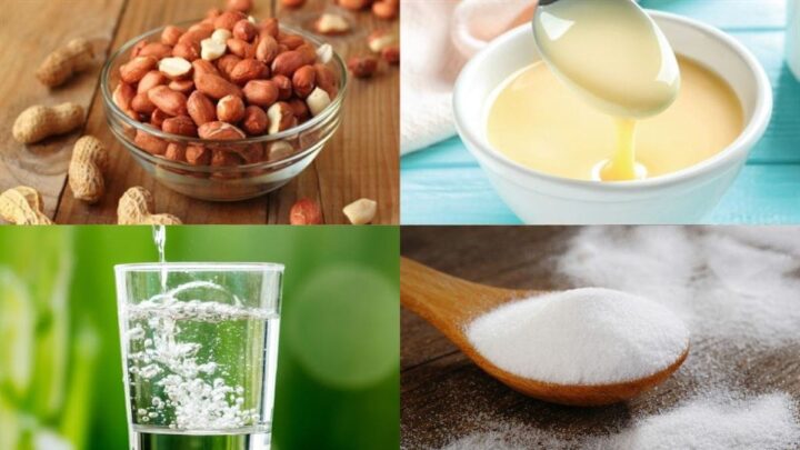 Nguyên liệu và chuẩn bị để nấu sữa đậu phộng bằng máy làm sữa hạt