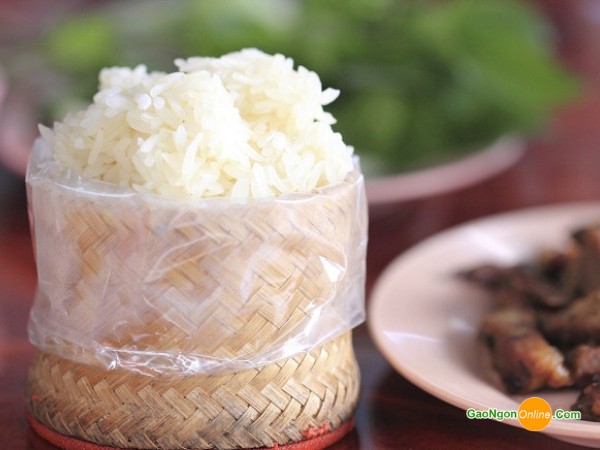 Xôi nếp Lào thành phẩm, ăn kèm với rau sống và thịt nướng