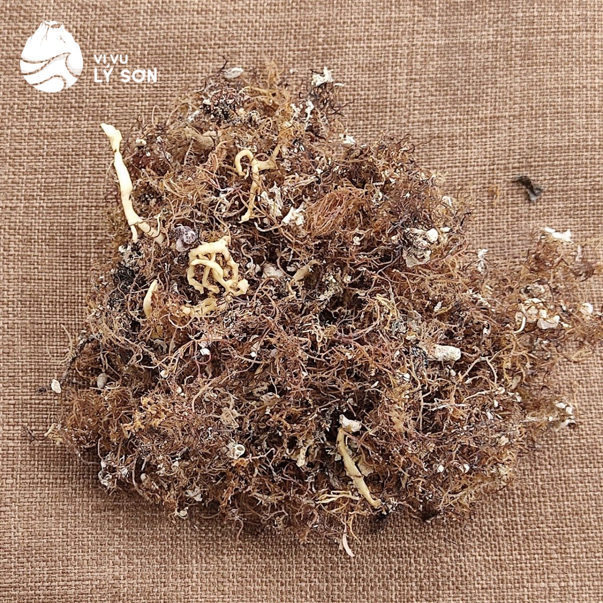 Rong câu khô - nguyên liệu chính để nấu xu xoa Lý Sơn