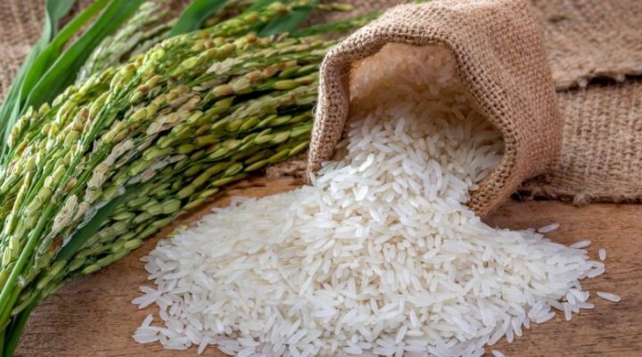 Cách ủ cơm nấu rượu chuẩn kỹ thuật