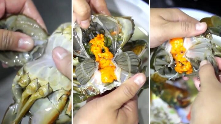 Cua biển tươi sống, nguyên liệu chính cho món lẩu cua mồng tơi