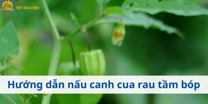 Cách chế biến rau tầm bóp