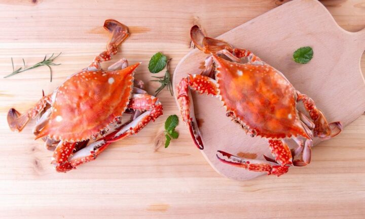Bát cháo ghẹ thơm ngon bổ dưỡng cho bé, chuẩn bị theo **cách nấu cháo ghẹ cho bé** tại nhà