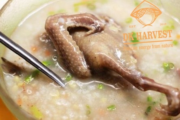 Cháo yến mạch bồ câu dinh dưỡng hỗ trợ tăng cân hiệu quả