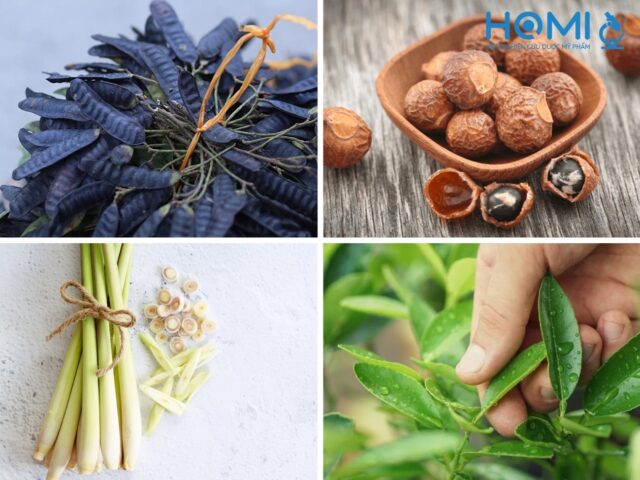 Các nguyên liệu tự nhiên cần chuẩn bị để nấu dầu gội bồ kết tại nhà
