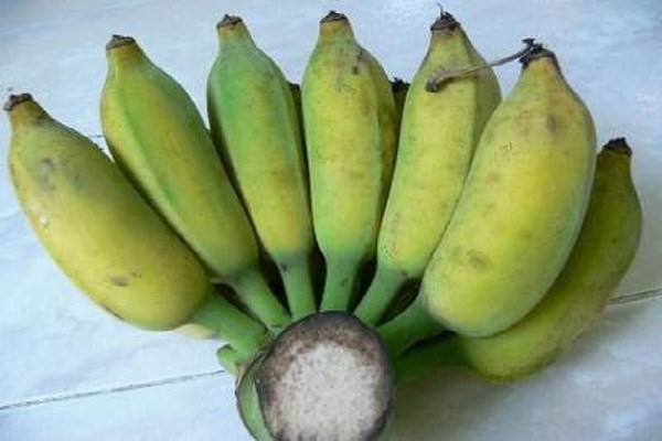 chuoi-su-chin-vang-nguyen-lieu-chinh-cho-cach-nau-khoai-lang-nuoc-cot-dua-thom-ngon