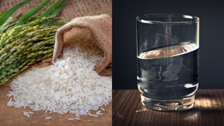 Nguyên liệu và dụng cụ nấu cơm bằng nồi áp suất điện