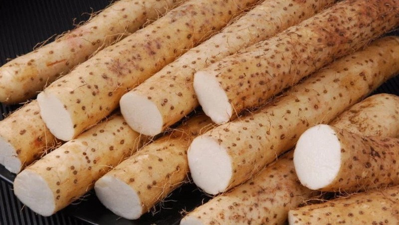 Củ mài tươi, nguyên củ - nguyên liệu chính cho món canh củ mài ngon