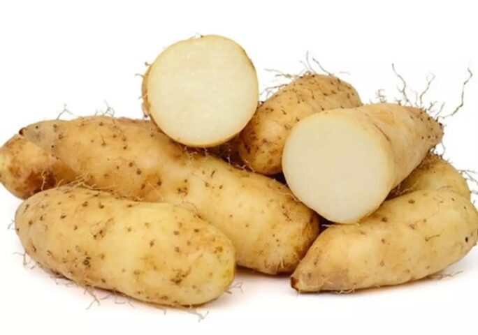Củ từ tươi, nguyên liệu chính cho món canh củ từ với thịt