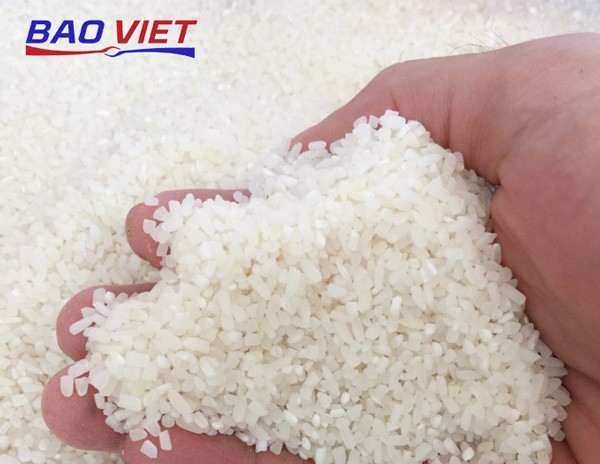 Hạt gạo tấm trắng ngà, đặc trưng cho món cơm tấm bán thơm ngon