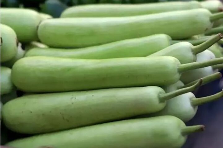 Bầu tươi ngon là nguyên liệu chính để nấu canh