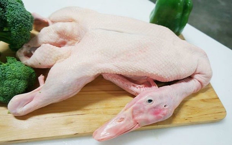 Cách chọn vịt tươi ngon, chất lượng để làm lẩu vịt nấu măng