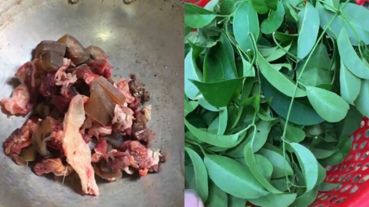 Nguyên liệu tươi sạch cho cách nấu thịt trâu lá lồm thơm ngon