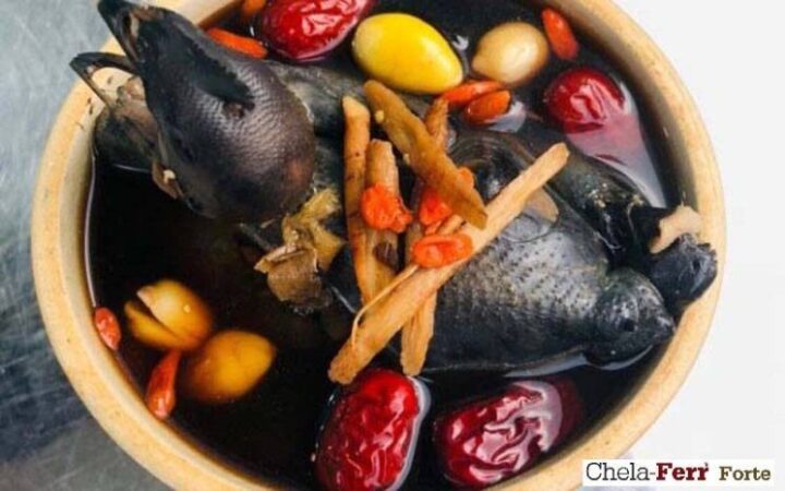 Mẹ bầu thưởng thức cháo gà ác giàu dinh dưỡng, ngăn ngừa thiếu máu