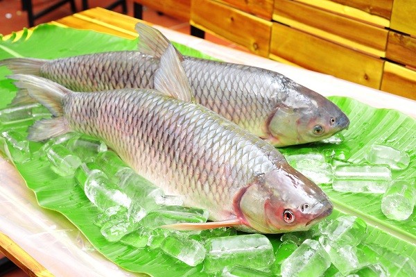 Cháo cá trắm cho bé rất được lòng các mẹ bởi hương vị thơm ngon. (Ảnh minh họa)