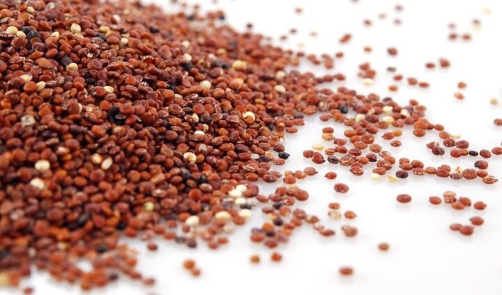 Hạt Quinoa đỏ là loại ngũ cốc có hàm lượng dinh dưỡng cao