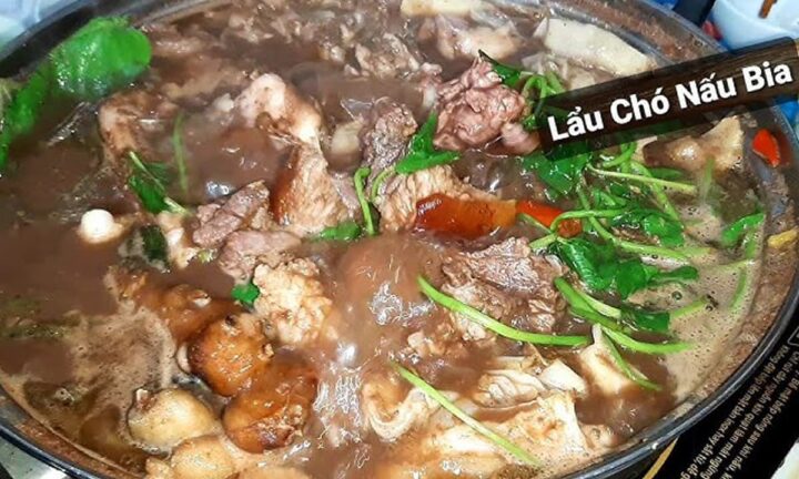 lau cho ndf ngoisaovn w1200 h720