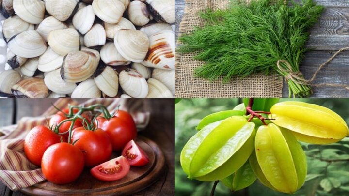 Các nguyên liệu tươi ngon cần thiết để chế biến canh nghêu thì là