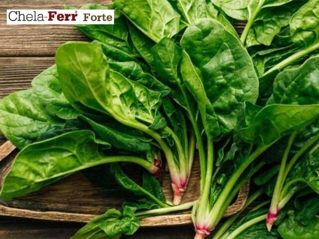 Cải bó xôi tươi ngon giàu dinh dưỡng cho bà bầu