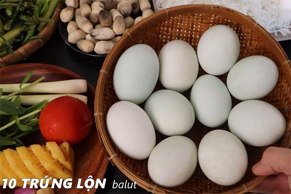 Nguyên liệu chính cho món lẩu hột vịt lộn bầu mồng tơi