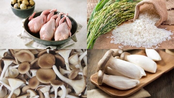 Nguyên liệu món ăn cháo chim cút