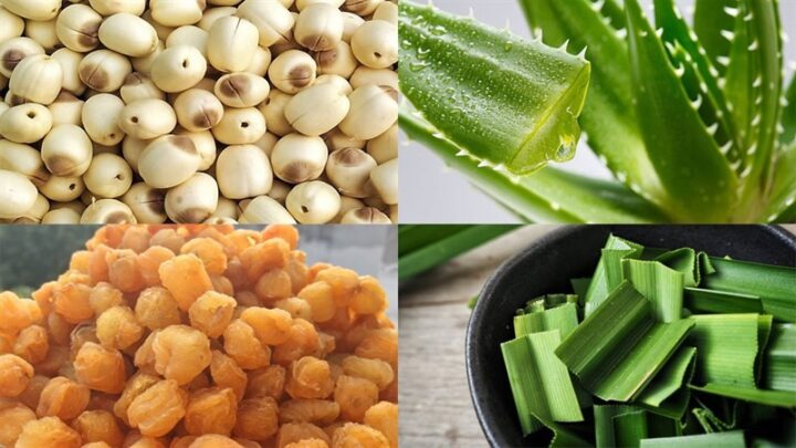Nguyên liệu chè hạt sen nhãn nhục nha đam