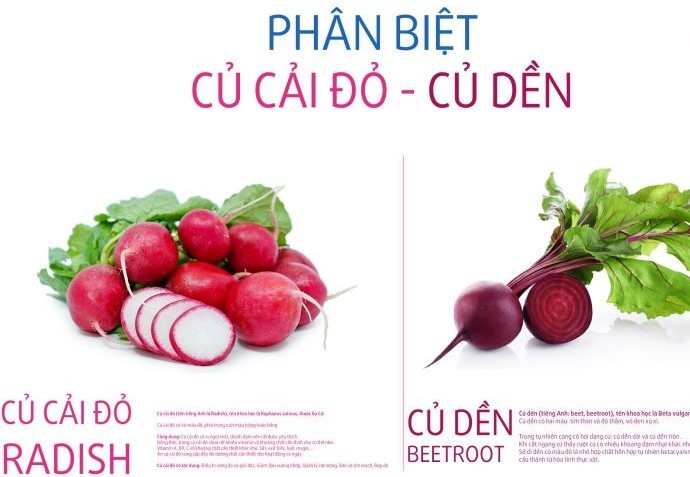 Sự khác nhau giữa củ dền đỏ và củ cải đỏ trong nấu ăn