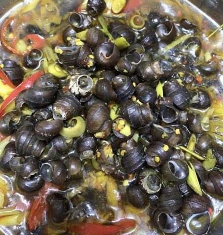 recipe 1695571124