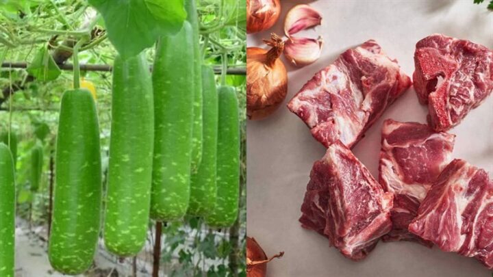 Nguyên liệu tươi ngon để nấu món canh bầu hầm xương đậm đà