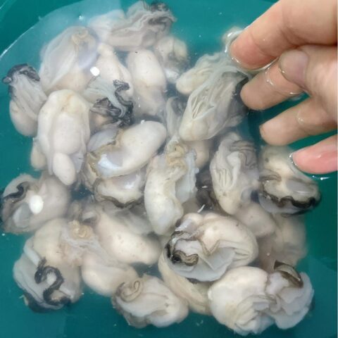 Hàu sữa tươi đã được tách vỏ sẵn sàng chế biến món canh hàu lá lốt